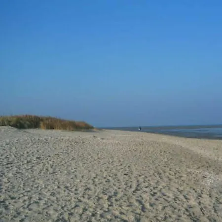 Boje 15 Schillig